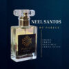 Neel Santos